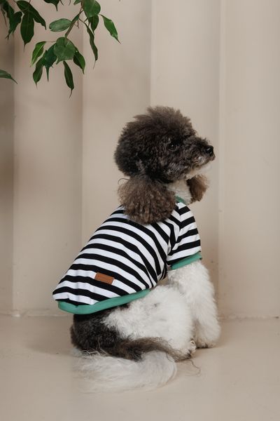 Футболка Pet Fashion Breeze для собак XХS 4823082445868 PR244586 фото