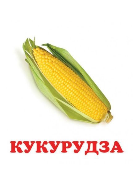 Навколишній світ для найменших. Овочі 9786177166398 фото