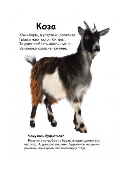 Хто це? Запитання та відповіді. Набір 9789669470355N фото