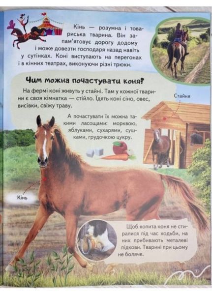 Енциклопедія Ферма. Унікальні факти, цікава інформація про домашніх тварин 9789664668184 фото