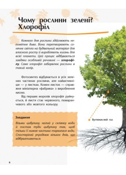 Відкриваємо світ : Рослини С1066006У 9786170954732 315147 фото