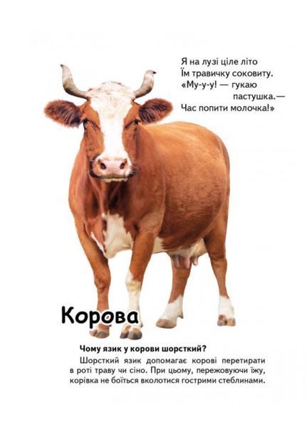 Хто це? Запитання та відповіді. Набір 9789669470355N фото