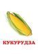 Навколишній світ для найменших. Овочі 9786177166398 фото 3
