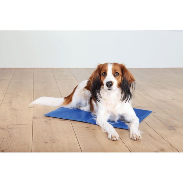 Килимок Trixie для собак охолоджуючий синій нейлон 90х50 см 4011905286860 4011905286860 фото
