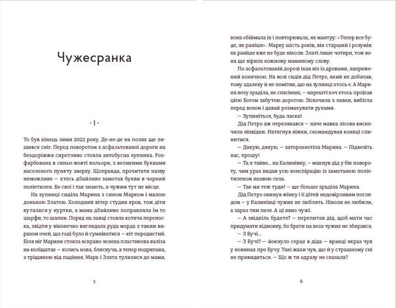 Книга Чужа-своя-рідна. Автор - Ірина Феофанова. Видавництво Старого Лева (Укр.) 9789664480816 фото