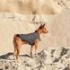 Жилет Pet Fashion E.Vest для собак сірий М2 4823082424405 4823082424405 фото 5