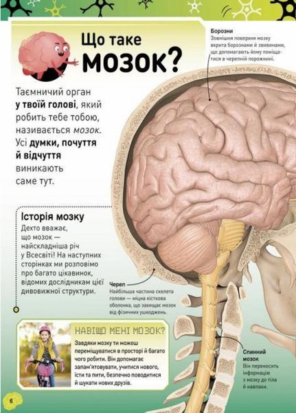 Книга Карколомний мозок. Імпульсивні нейрони, мінливі синапси, хвостаті аксони НЕ1434023У 9780241618233 9786170973856 фото