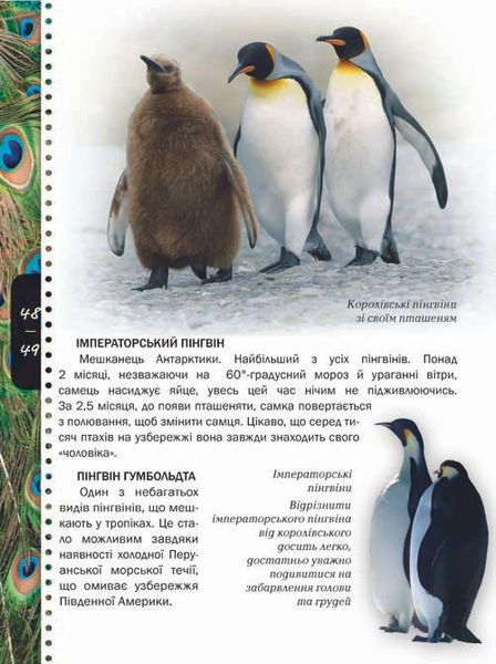 Енциклопедія "Тварини" Талант Тверда Обкладинка Автор Тетяна Жабська 9786176950264 фото