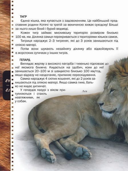Енциклопедія "Тварини" Талант Тверда Обкладинка Автор Тетяна Жабська 9786176950264 фото