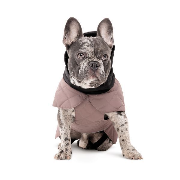 Попона Max М такса для собак 4823082439522 4823082439522 фото