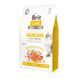 Корм сухий Brit Care Cat Grain Free Haircare Healthy and Shiny Coat для котів догляд за шкірою і шерстю лосось та курка 2 кг 171306/0884 фото 1