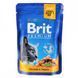Корм вологий Brit Premium Salmon and Trout pouch для котів з лососем і фореллю 100 г 100271 /505999 фото 1