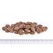 Корм сухий Brit Grain Free VetDiet Dog Renal для собак з нирковою недостатностью з яйцем горохом та гречкою 12 кг 8595602528189 170948/528189 фото 4