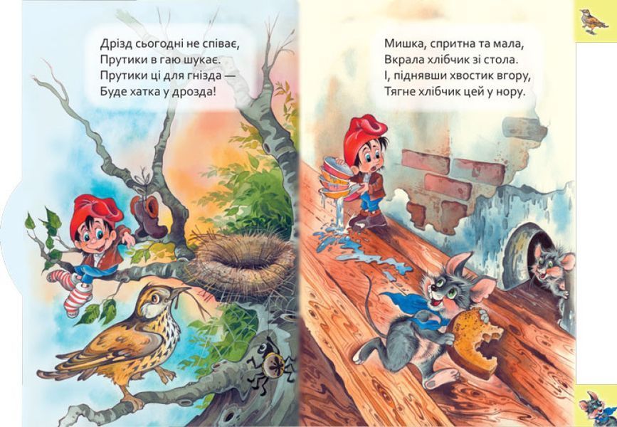 Книга для дітей "Хто де живе" Тверда Обкладинка 9789667508661 фото