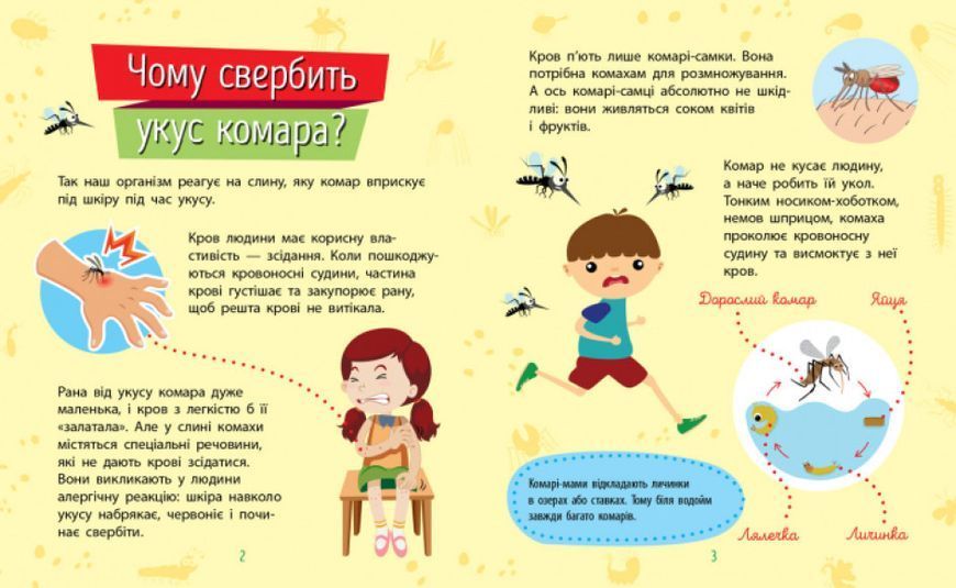 Книга "Чомусики. Комахи" Автор Булгакова Ганна 311893 фото