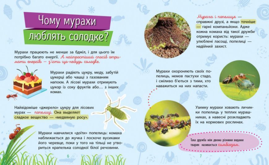 Книга "Чомусики. Комахи" Автор Булгакова Ганна 311893 фото