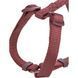 Шлея Trixie Premium H-harness для собак XXS&ndash;XS 20&ndash;32 см 10 мм бордова 4053032672864 4053032672864 фото 2