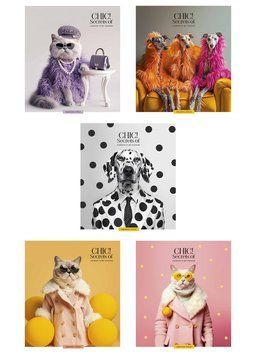 Комплект 5 шт загальних зошитів Fashion chic. Зошит Школярик 36 арк. у клітинку 3458 4823088231281 4823088231281_036-3458K фото