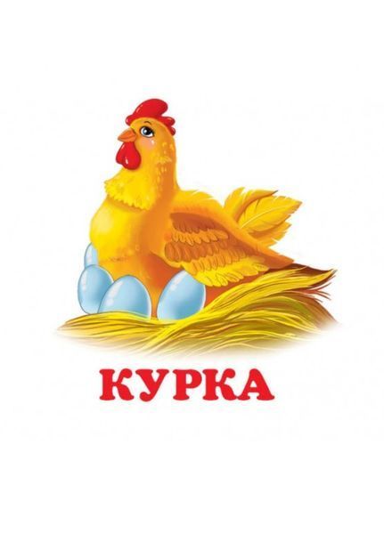 Навколишній світ для найменших. Птахи 9786177166374 фото