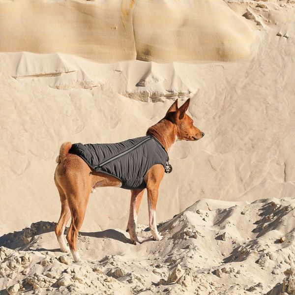 Жилет Pet Fashion E.Vest для собак сірий SМ 4823082424382 4823082424382 фото