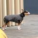 Жилет Pet Fashion E.Vest для собак сірий SМ 4823082424382 4823082424382 фото 3