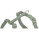 Шлея Trixie Premium H-harness для собак XXS&ndash;XS 20&ndash;32 см 10 мм світло-зелена 4053032673045 4053032673045 фото 2