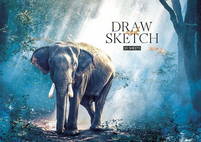 Набір альбомів для малювання 3 шт. Draw and sketch. Альбом Школярик 30 арк. А4 PB-GB-030-243 4823088200355 4823088200355_4 фото