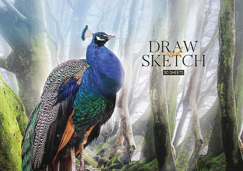 Набір альбомів для малювання 3 шт. Draw and sketch. Альбом Школярик 30 арк. А4 PB-GB-030-243 4823088200355 4823088200355_4 фото