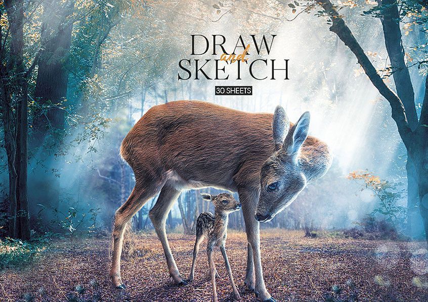 Набір альбомів для малювання 3 шт. Draw and sketch. Альбом Школярик 30 арк. А4 PB-GB-030-243 4823088200355 4823088200355_4 фото