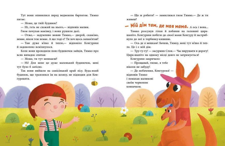 Книга Пригоди гнома Тимка Тверда Обкладинка Автор Ганна Макуліна С1598004У 9786170987020 9786170987020 фото