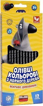 Олівці кольорові шестигранні з чорного дерева + чинка Школярик 12 кольорів 4823088216356 фото