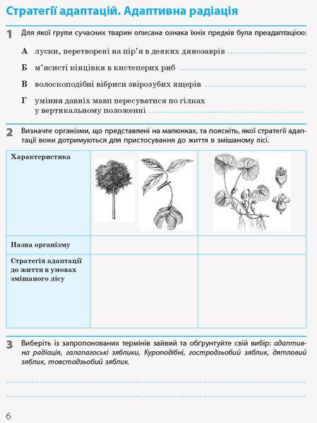 Книга Біологія і екологія (рівень стандарту). 11 клас. Робочий зошит Ранок Автор - Задорожний К.М. Т901344У 9786170957009 9786170957009 фото
