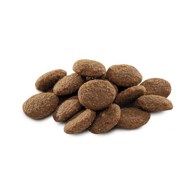 Корм сухий Brit Premium Dog Adult XL для дорослих собак гігантських порід вагою 45-90 кг з куркою 15 кг 8595602526529 170833/6529 фото