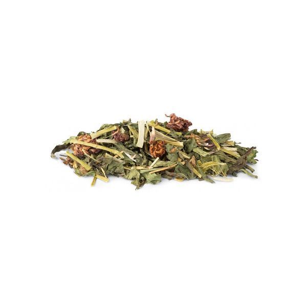 Корм Vitakraft Vita Verde Nature Mix для декоративних гризунів з подорожником та конюшиною 70 г 4008239256928 4008239256928 фото