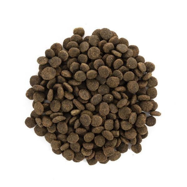 Корм сухий Brit Care Cat Grain Free Sterilized Sensitive для стерилізованих котів з чутливим травленням з кроликом 2 кг 171290/0761 фото