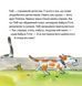 Книга Детектив Тобі 9786177781676 9786177781676 фото 2