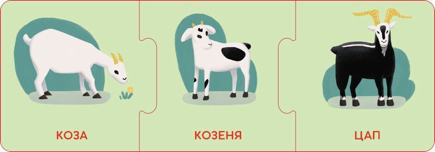 Кенгуру "Логічні ланцюжки. Малюки тварини та їхні родини" 3+ 495739 фото