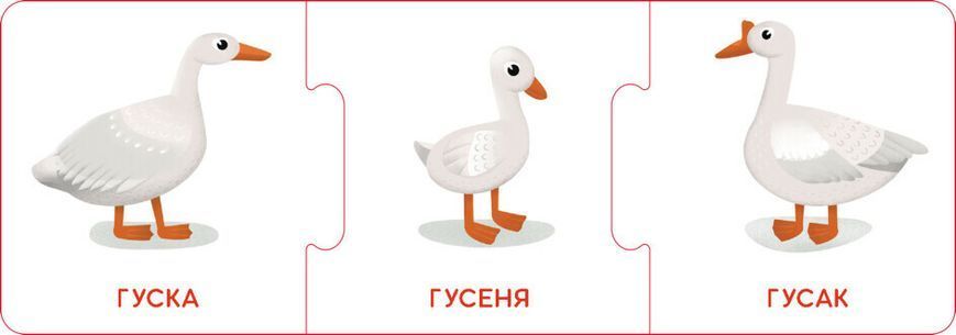 Кенгуру "Логічні ланцюжки. Малюки тварини та їхні родини" 3+ 495739 фото