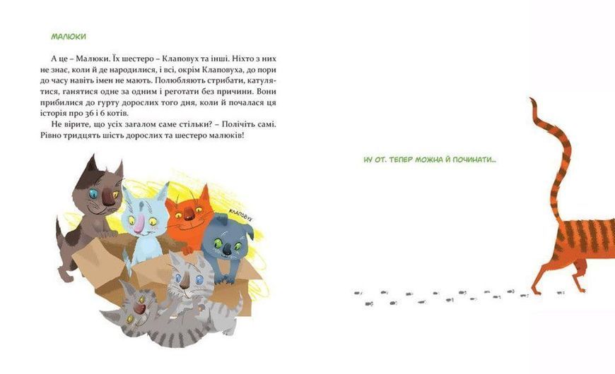 Книга 36 і 6 котів. Книга 1. Автор - Галина Вдовиченко (ВСЛ) 9786176791294 фото