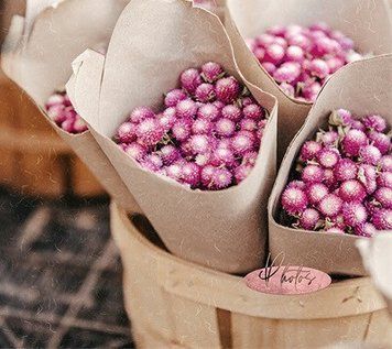 Фотоальбом UFO 10x15x200 C-46200 Florentine (6905382) 6900069053822 6900069053822 фото
