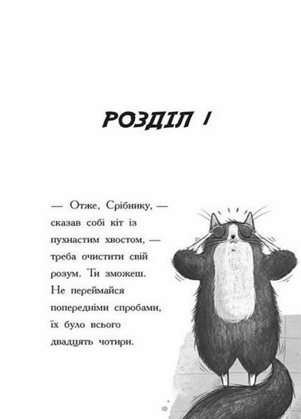 Книга Тото. Кішка-ніндзя та справа про викрадення сиру. Книга 2 Автор Дермот О'Лірі. Ч1522002У 9786170974327 473429 фото