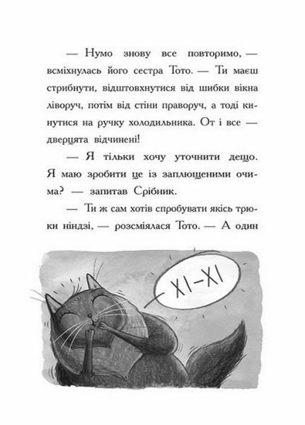 Книга Тото. Кішка-ніндзя та справа про викрадення сиру. Книга 2 Автор Дермот О'Лірі. Ч1522002У 9786170974327 473429 фото