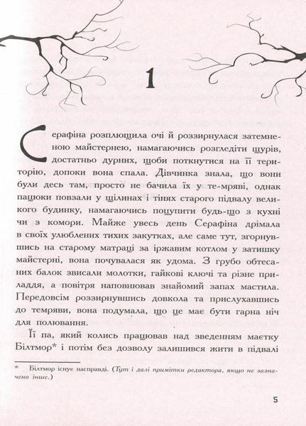 Cерафіна і Чорна мантія. Книга 1. Автор Роберт Бітті. Тверда обкладинка Ч1043001У 9786170950611 350579 фото