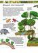 Дитяча енциклопедія. Дивовижний світ тварин 9789664663226 фото 2