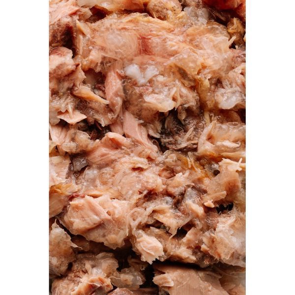 Корм вологий Savory Tuna Fillets rich in Mackerel in Jelly for Adult Cats філе тунця з макреллю в желе для дорослих котів 4820261920970 фото