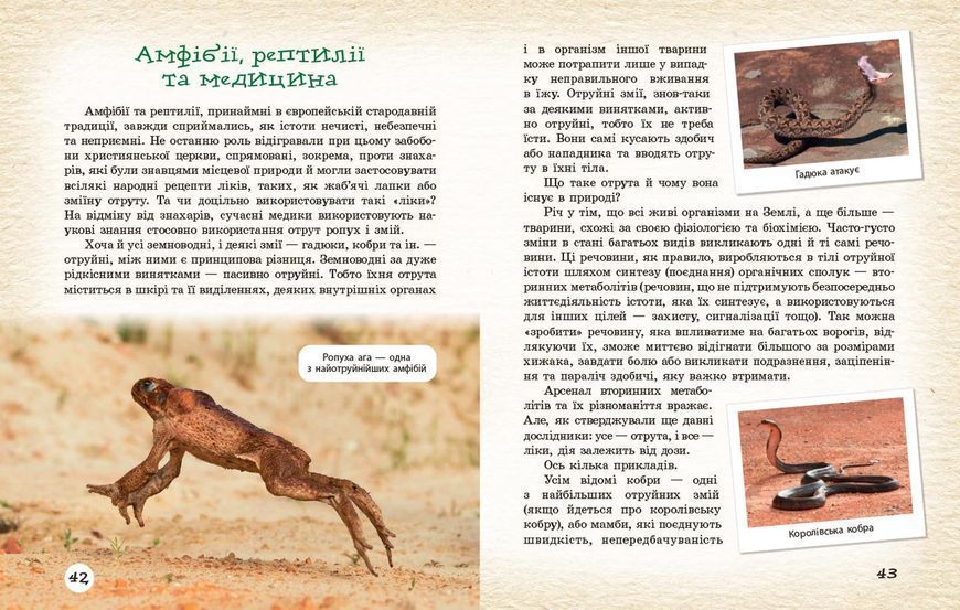 Книга Тварини навколо нас Ранок Автор - Огієнко С. Л.; Трохимчук Р. Р. Д133015У 9786170990600 9786170990600 фото
