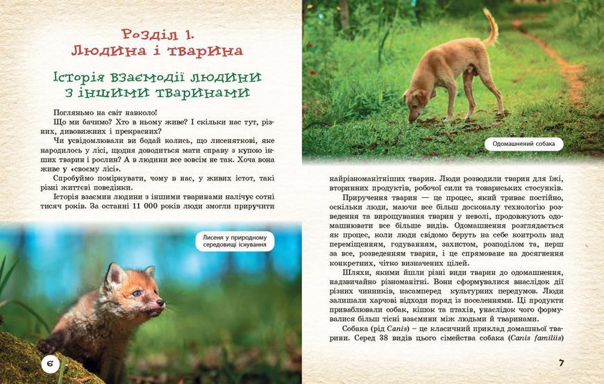 Книга Тварини навколо нас Ранок Автор - Огієнко С. Л.; Трохимчук Р. Р. Д133015У 9786170990600 9786170990600 фото