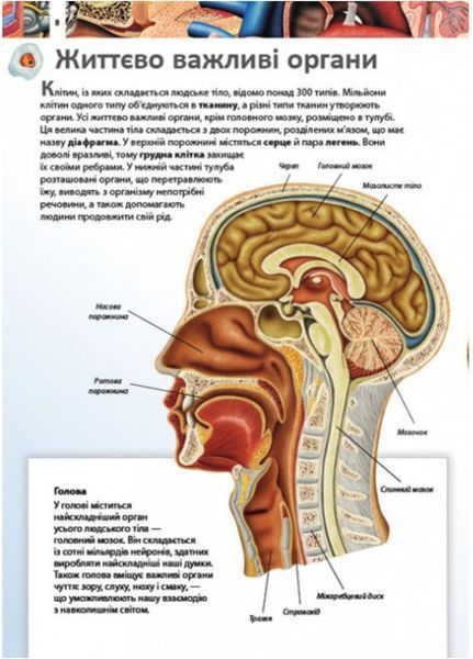 Дитяча енциклопедія. Тіло людини 9789664663240 фото