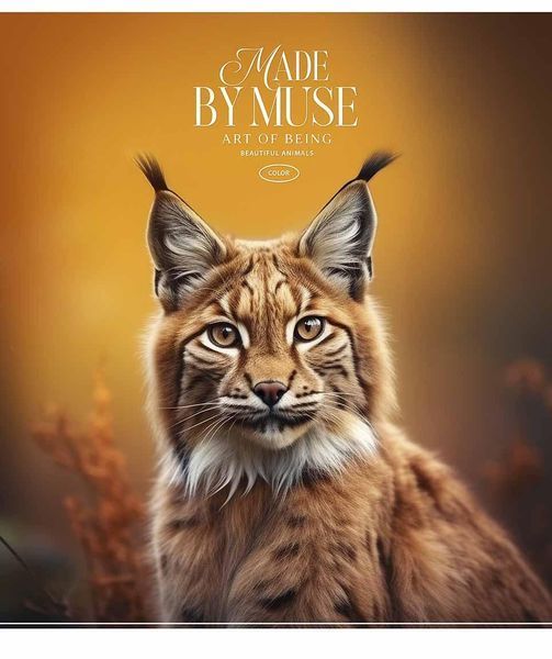 Набір 5 шт, зошит загальний, Art of being. Зошит Star у клітинку 60 арк. 3512 4823088231960 4823088231960_060-3512K фото