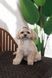 Кепка Pet Fashion Glamor для собак ХS 4823082445950 PR244595 фото 5